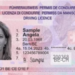 Buy Swiss Driving License