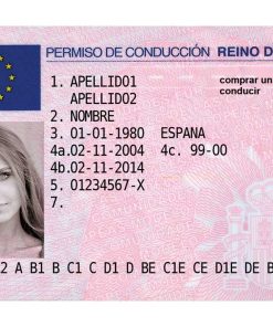 Driving Licence