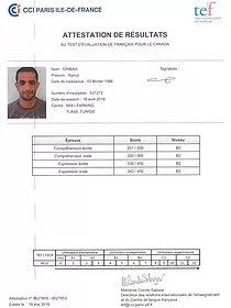 Buy TEF Certificate Online Without exam