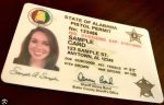 Buy Alabama Driver's License and ID Card