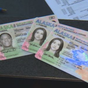 Buy Alaska Driver's License and ID Card