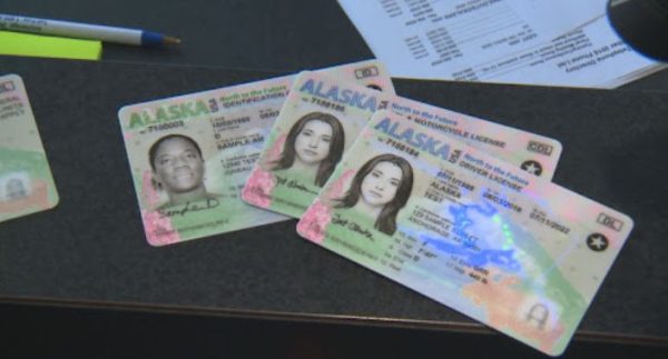 Buy Alaska Driver's License and ID Card