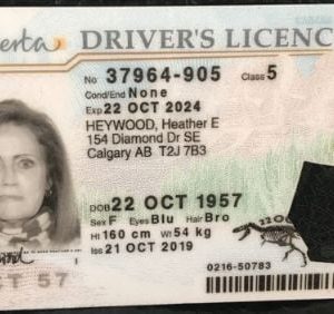 Alberta Driving License ID Card
