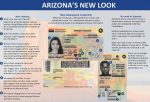 Buy Arizona Driver's License and ID Card