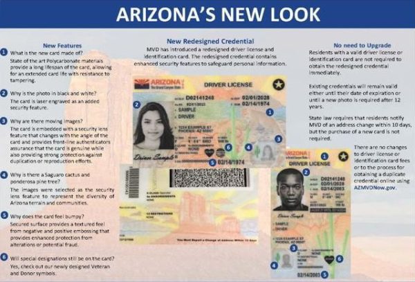 Buy Arizona Driver's License and ID Card