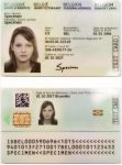 Buy Belgium ID Card