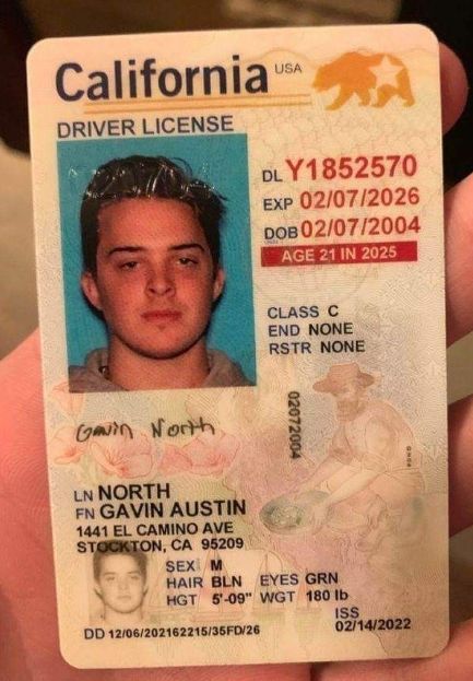 Buy California Driver's License and ID Card