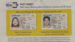 Buy California Driver's License and ID Card