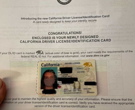 Buy California Driver's License and ID Card