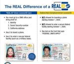 Buy California Driver's License and ID Card