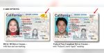 Buy California Driver's License and ID Card