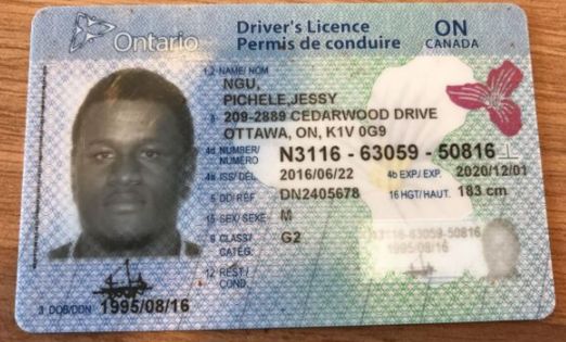 Buy Canada Driver's License