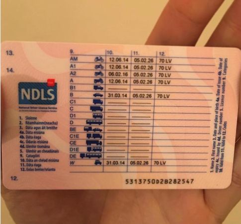Buy Ireland Driver's License