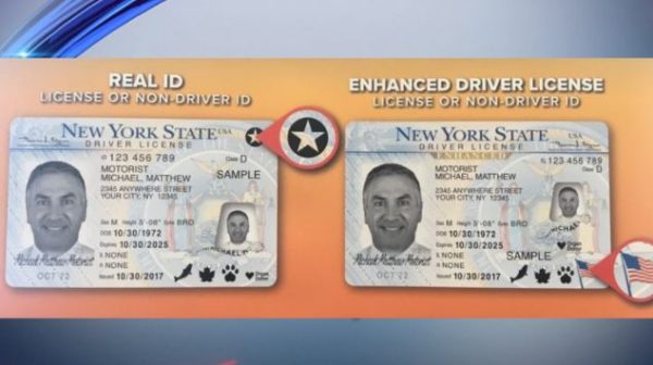 Buy New York Driver's License and ID Card