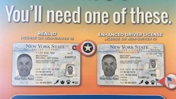 Buy New York Driver's License and ID Card