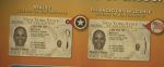 Buy New York Driver's License and ID Card