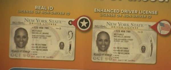 Buy New York Driver's License and ID Card
