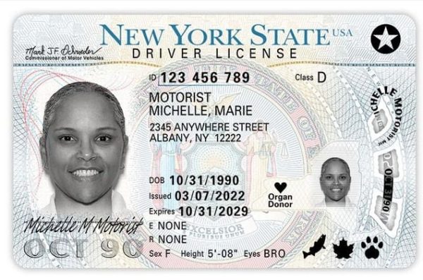 Buy New York Driver's License and ID Card