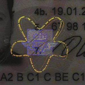 Norway Driving Licence uv
