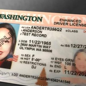 Buy Washington Driver's License and ID Card