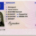Buy Denmark Driving Licence